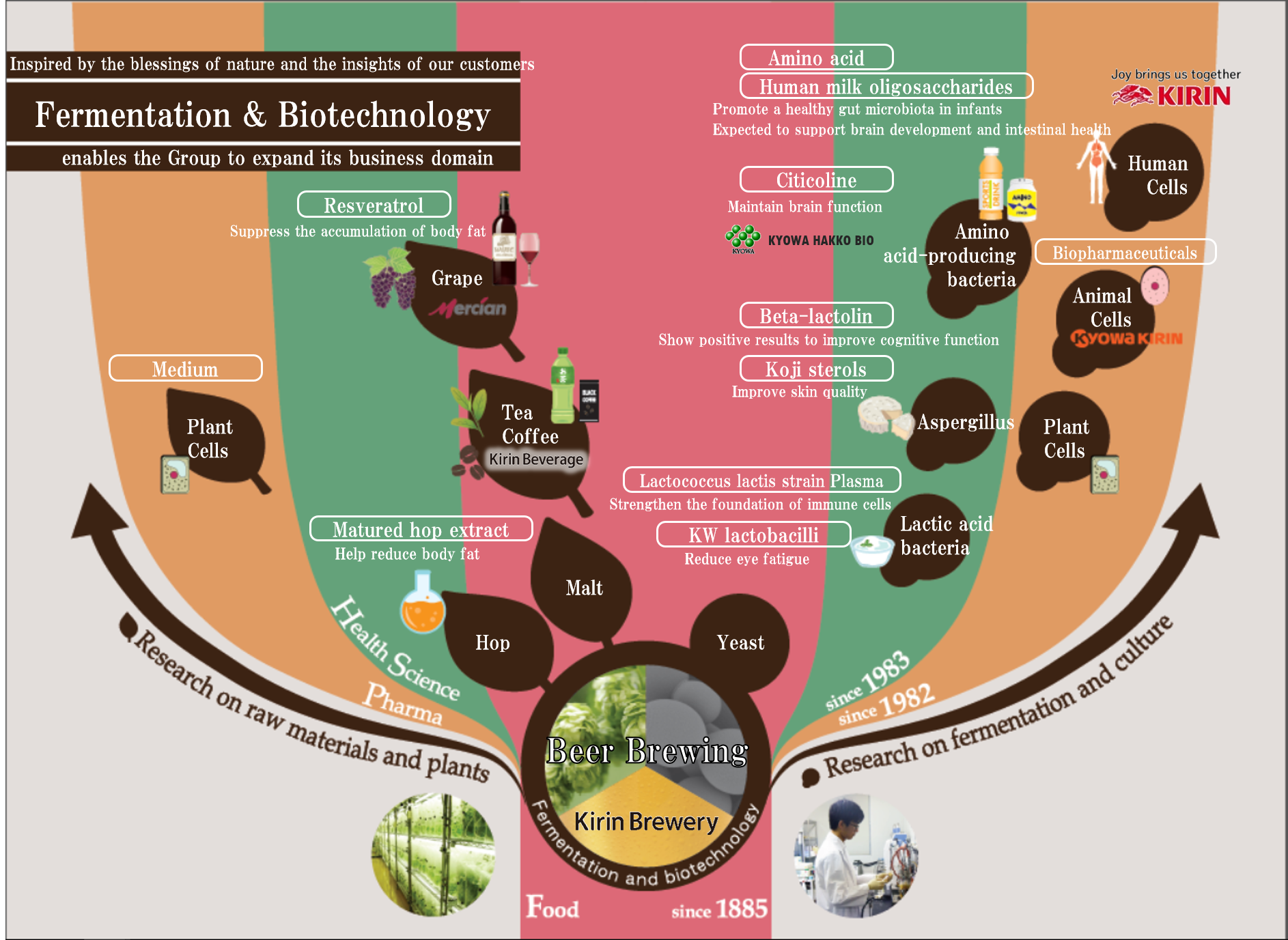 図：Development of unique technologies in ‘fermentation and biotechnology’