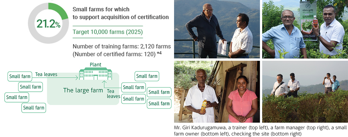 Figure: Small farms for which to support acquisition of certification,Mr. Giri Kadurugamuwa. a trainer (top left), a farm manager (top right), a small farm owner (bottom left). checking the site (bottom right)