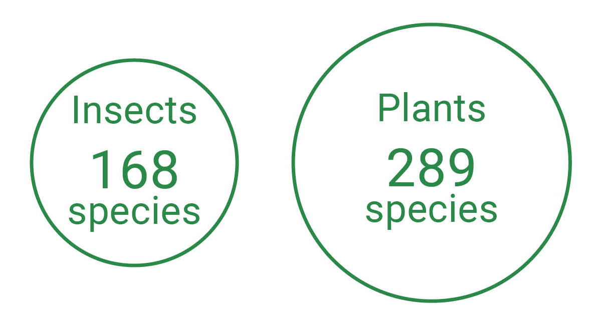 Figure: lnsects168,plants288