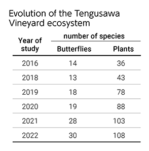 Evolution of the Tengusawa Vineyard ecosystem