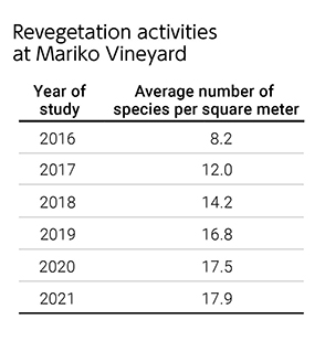 Revegetation activities at Mariko Vineyard