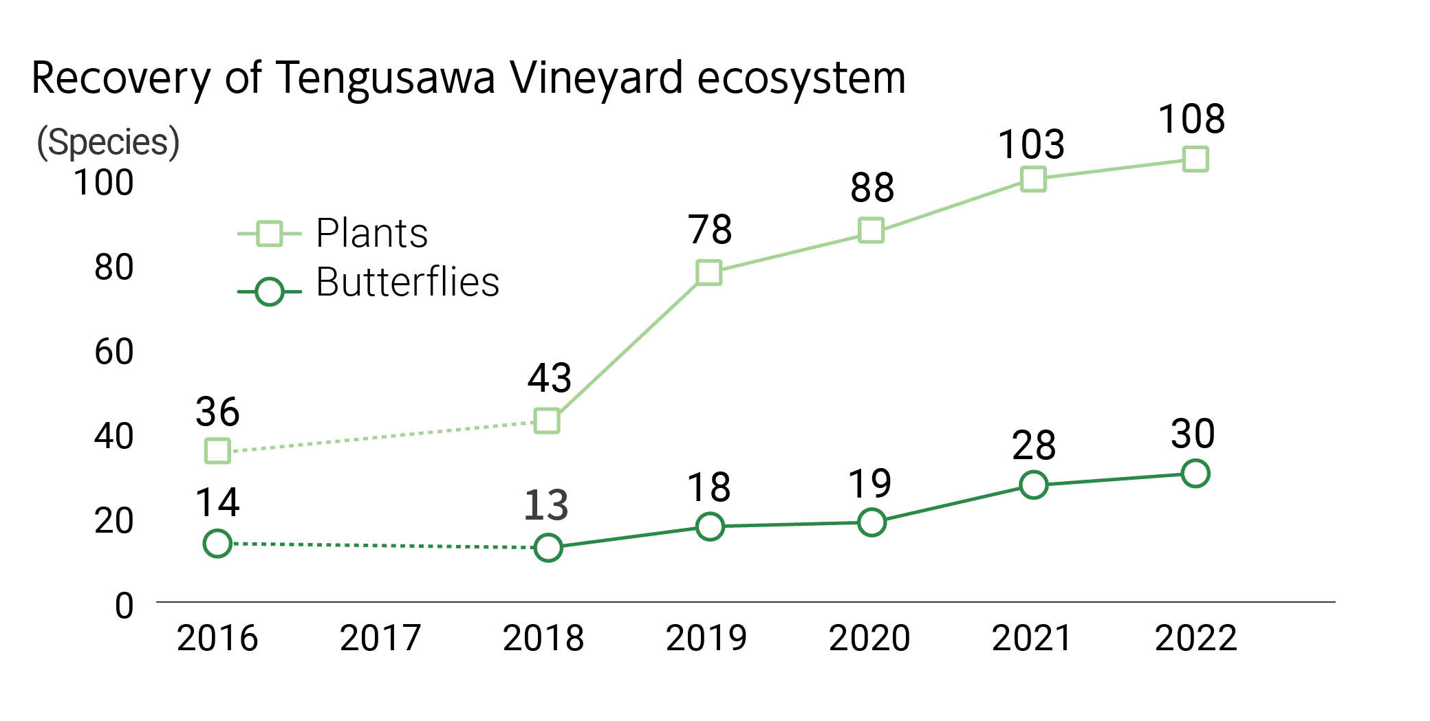 Recovery of Tengusawa Vineyard ecosystem