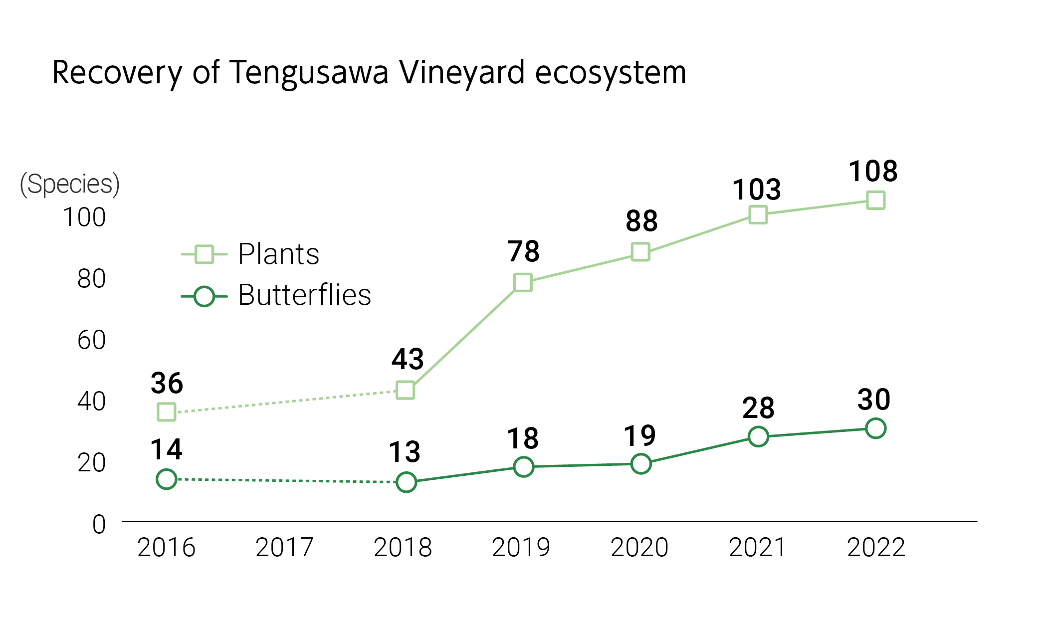 Recovery of Tengusawa Vineyard ecosystem