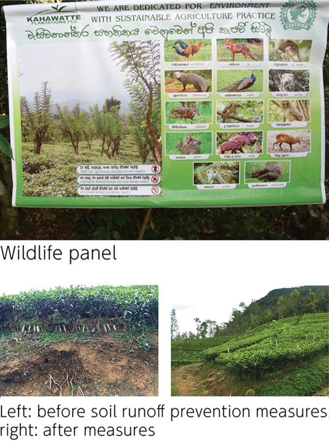 Figure: Wildife panel, Left: before soil runoff prevention, Right: after measures.