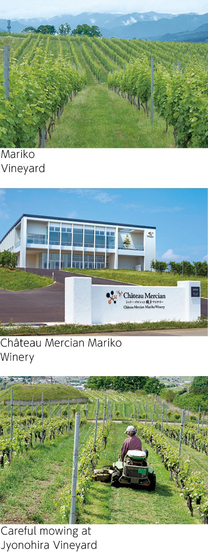 Image: Mariko Vineyard,Chäteau Mercian Mariko Winery,CarefuI mowing at Jyonohira Vineyard