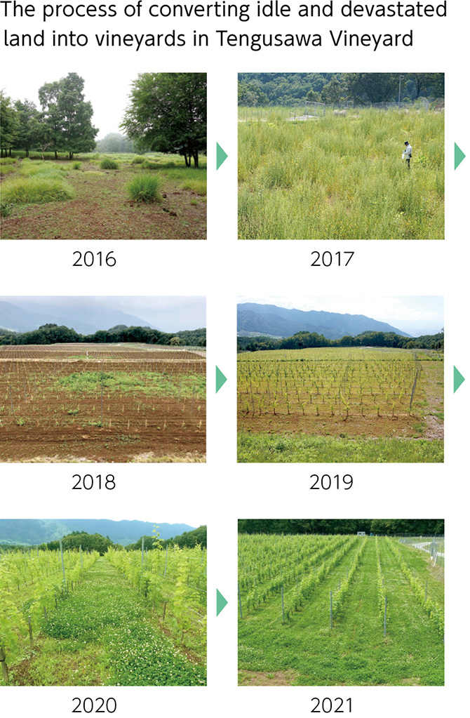 Image: The process of converting idle and devastated land into vineyards in Tengusawa Vineyard, 2016→2017→2018→2019→2020→2021