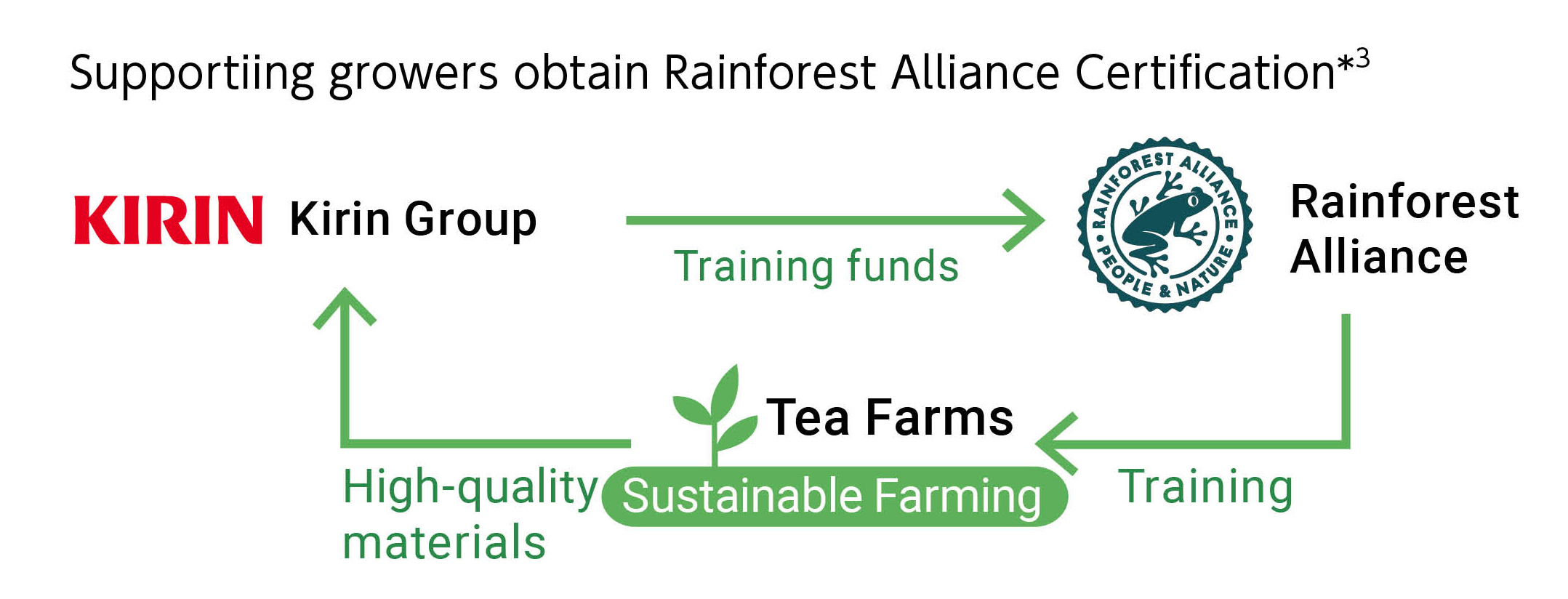 Supportiing growers obtain Rainforest Alliance Certification