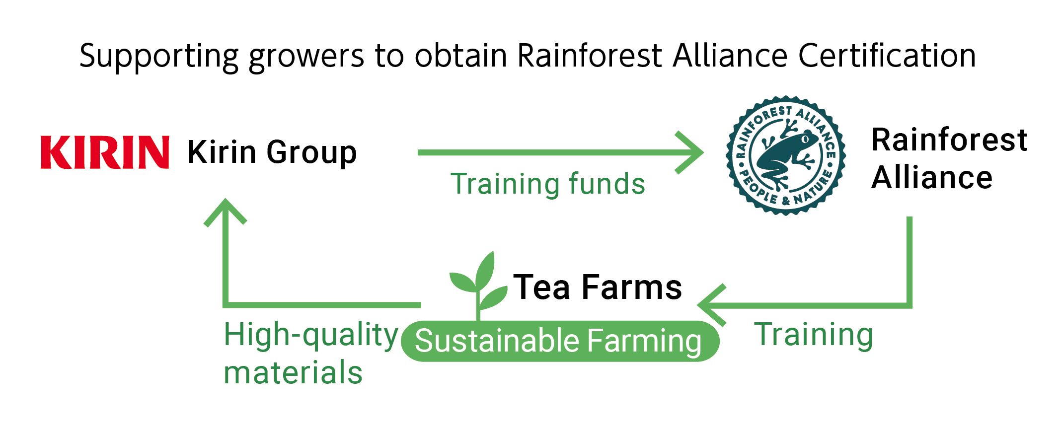 Percentage of large certified farms that have received support from the Kirin Group