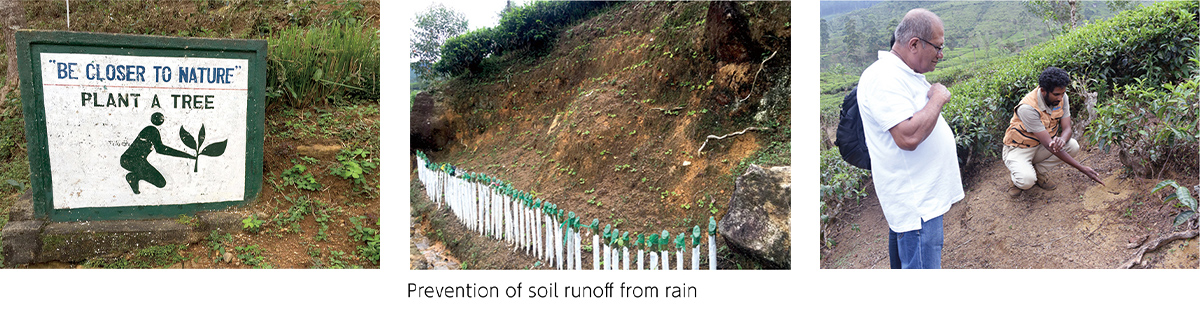 Image: Prevention of soil runoff from rain