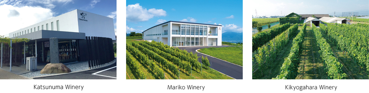 Image: Katsunuma Winery, Mariko Winery, Kikyogahara Winery