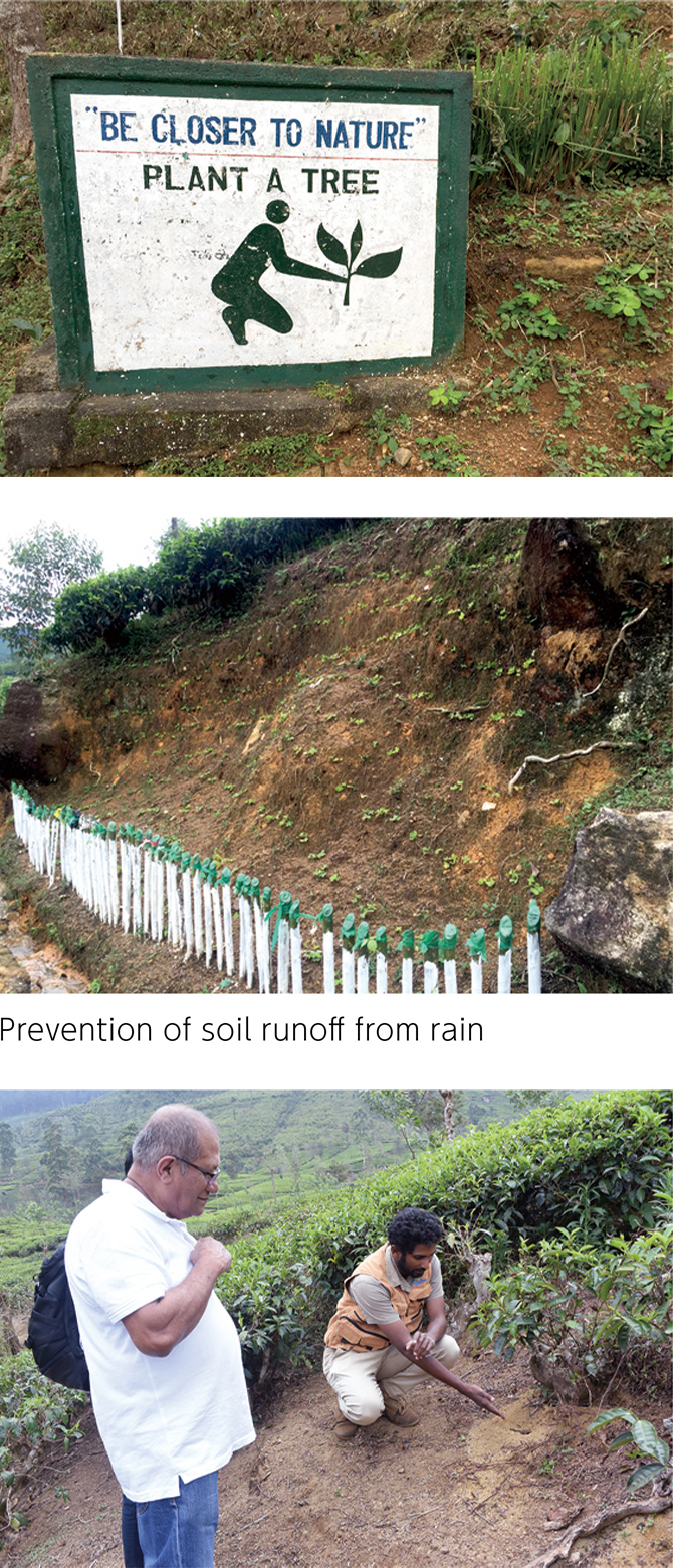 Image: Prevention of soil runoff from rain
