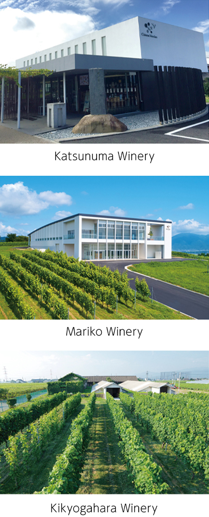 Image: Katsunuma Winery, Mariko Winery, Kikyogahara Winery
