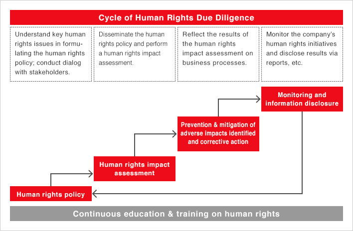 Human Rights Due Diligence Process