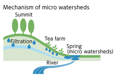 Mechanism of micro watersheds