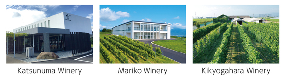 Katsunuma Winery, Mariko Winery, Kikyogahara Winery