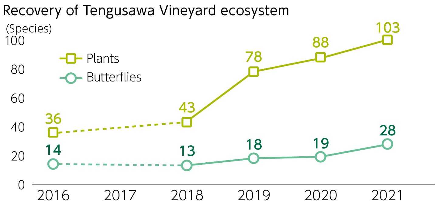 Recovery of Tengusawa Vineyard ecosystem