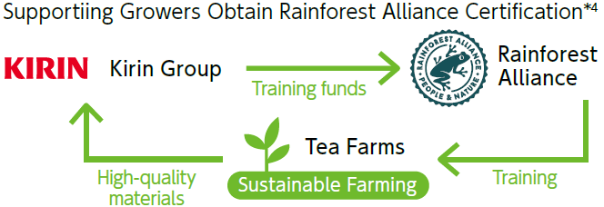 Supportiing Growers Obtain Rainforest Alliance Certification*4