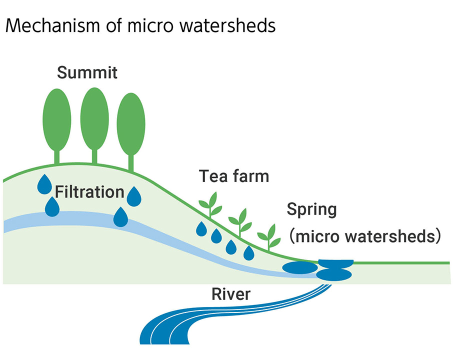 Figure: Mechanism of micro watersheds Summit,Number of areas where water sources were conserved among Sri Lankan tea farms