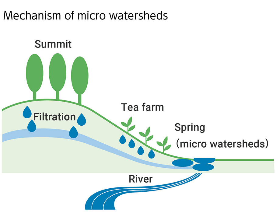 Mechanism of micro watersheds