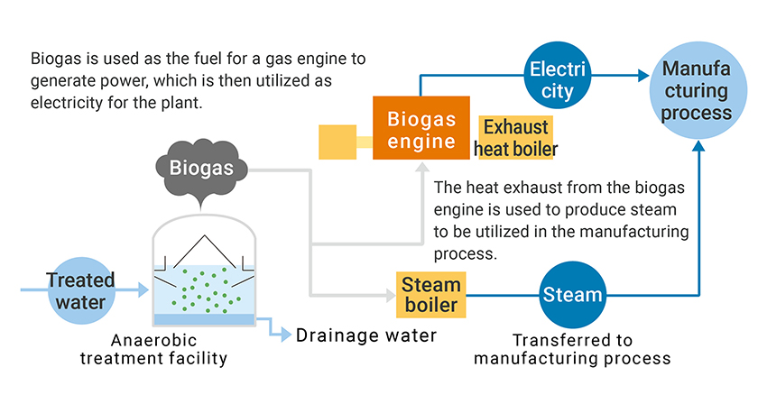 Biogas is used as the fuel for a gas engine to generate power, which is then utilized as electricity for the plant.