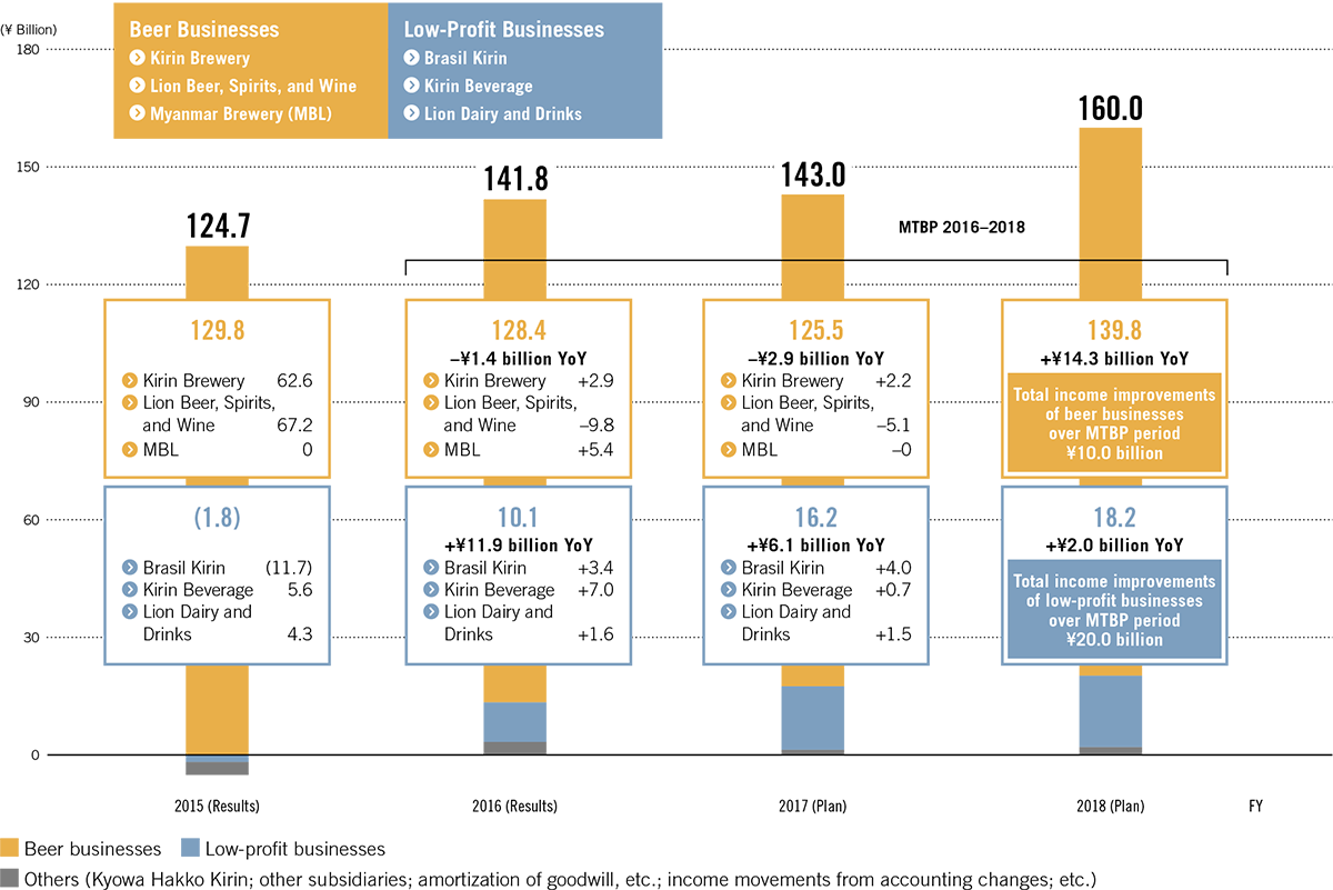 Relationship between Strategic Classifications and Subsidiaries