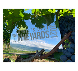 「World’s Best Vineyards 2021」