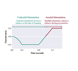 Electrical stimulation waveform