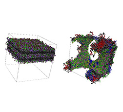 Figure 4 Result of molecular simulation by DPD method