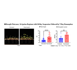 Attachment 2 Drought Tolerance