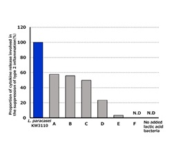 Proportion of type 2 inflammation-suppressing cytokines released by immune cells stimulated with various lactic acid bacteria