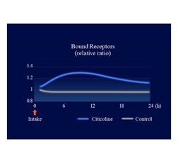 Simulation-based evaluation of ligand-binding cholinergic receptors in enteric neurons using a QSP model