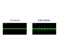 Assessment of Neural Activation with a Microelectrode Array in an Intestinal Epithelial Cell–Neuron Co-culture System