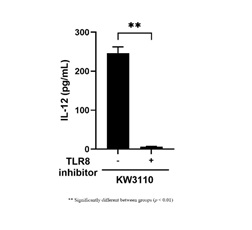 Figure 5. Role of TLR8 in the induction of IL-12 production
