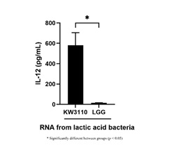 Figure 6. Comparison of IL-12 activity between RNA derived from L. paracasei KW3110 and RNA derived from LGG