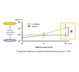 Figure 1. Changes in vascular endothelial function following L-citrulline supplementation among middle-aged and older adults with high-normal blood pressure