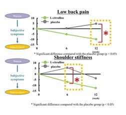 Figure 2. Changes in subjective symptoms of lower back pain and stiff shoulders following L-citrulline supplementation (change from baseline)