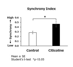 【Figure 4】Citicoline improved motor neuron synchrony in iPSC-derived motor neurons
