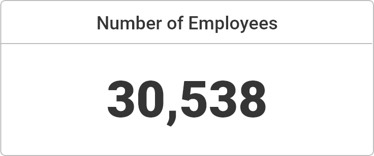 Number of Employees 30,538