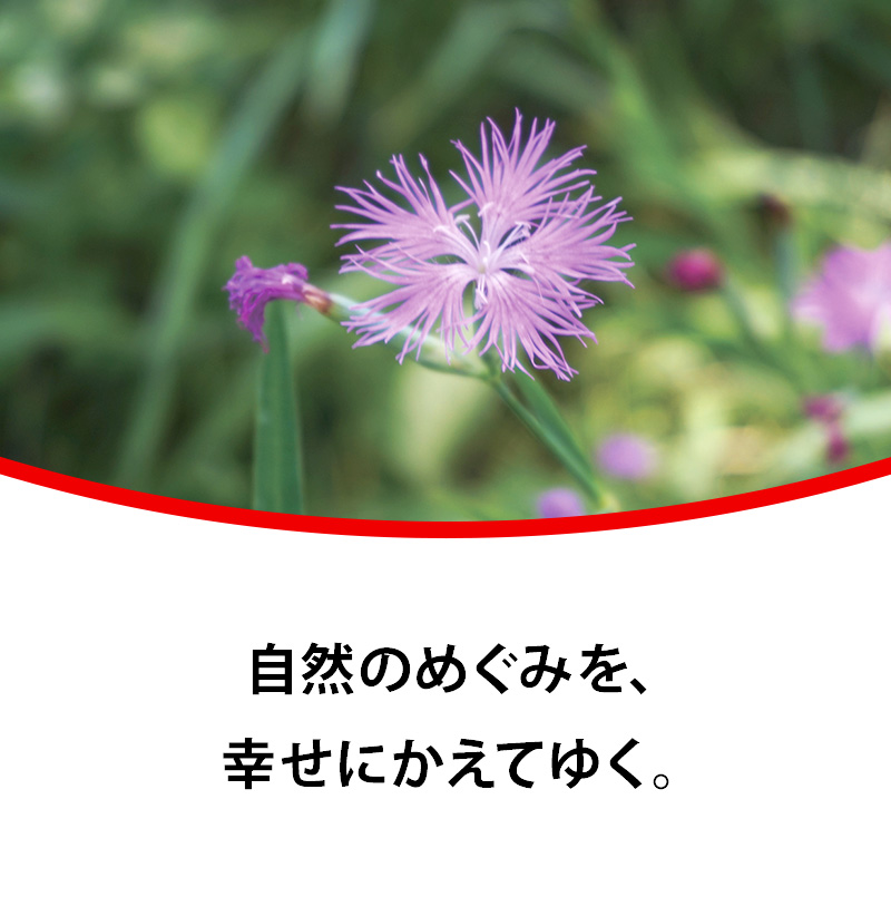 自然のめぐみを、幸せにかえてゆく。