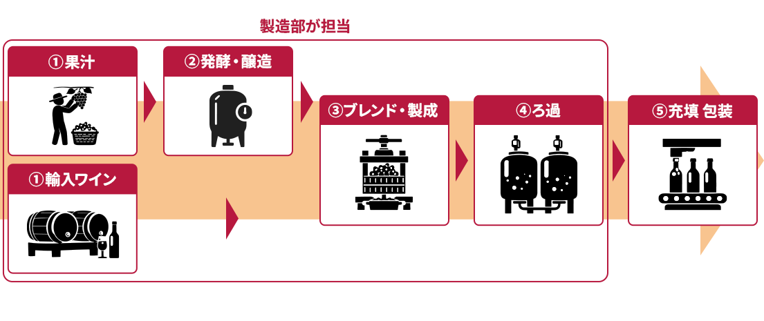 製品の製造工程が、発酵から包装されるまでに大きく5エリアに分かれています。製造部では4までの工程を担当しています。1.輸入ワインや果汁を調達する 2.発酵・酵造をする 3.ブレンド・製成をする 4.ろ過をする 5.充填・包装をする