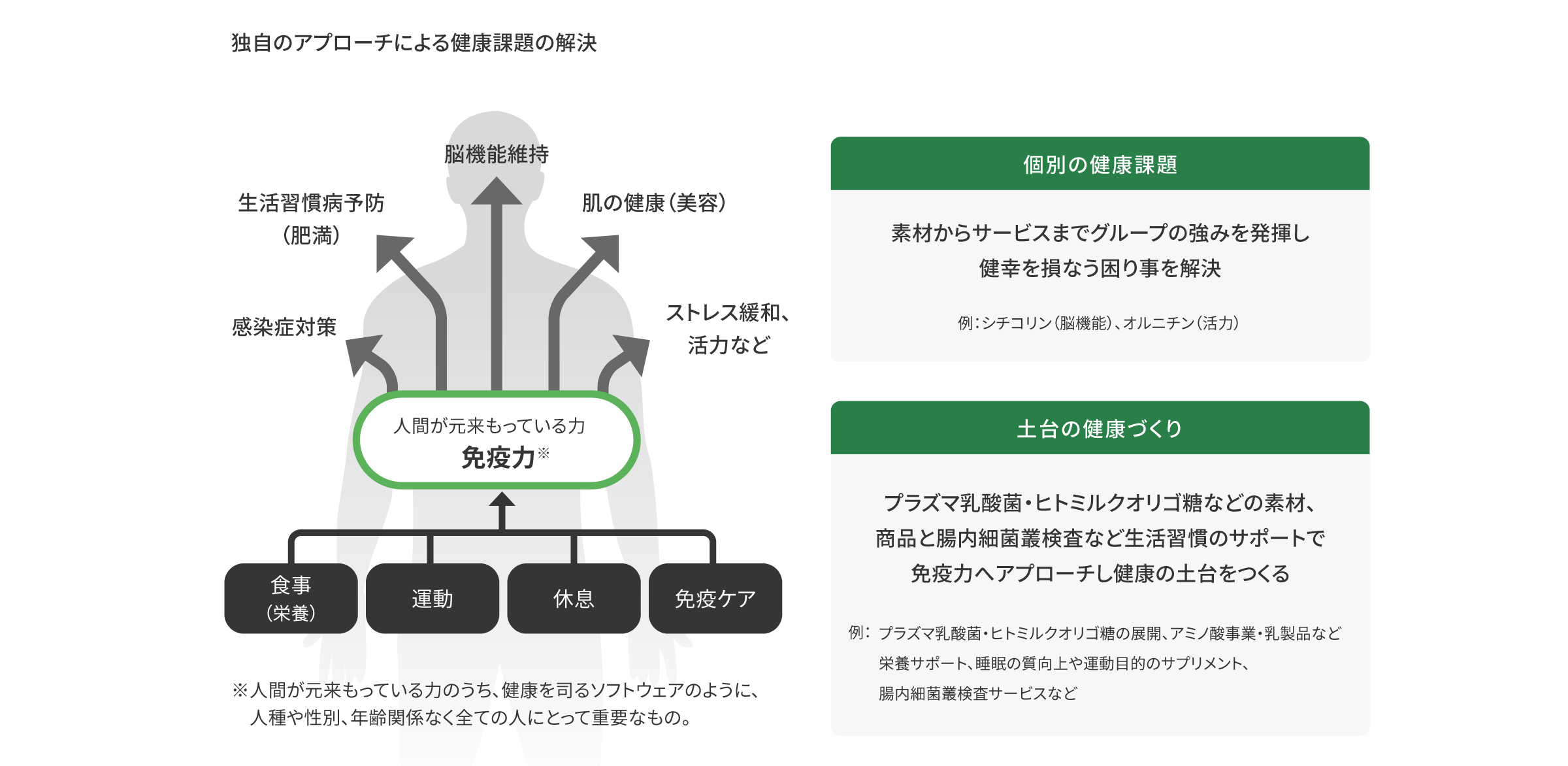 図：独自のアプローチによる健康課題の解決