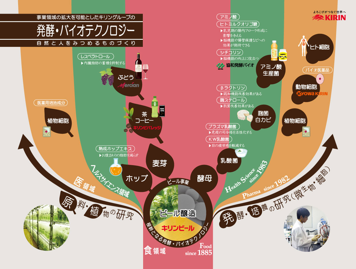 図：発酵・バイオテクノロジー