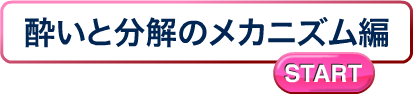 酔いと分解のメカニズム編