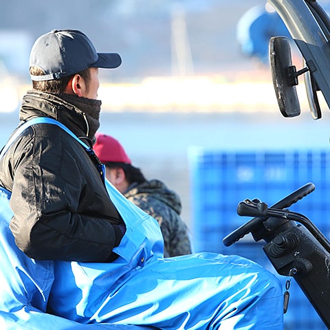 次々と水揚げされる魚を、フォークリフトで隣の市場に運ぶ。女川では、漁港と市場の距離はわずか数メートル