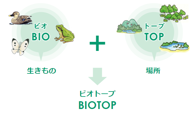 ビオトープの図