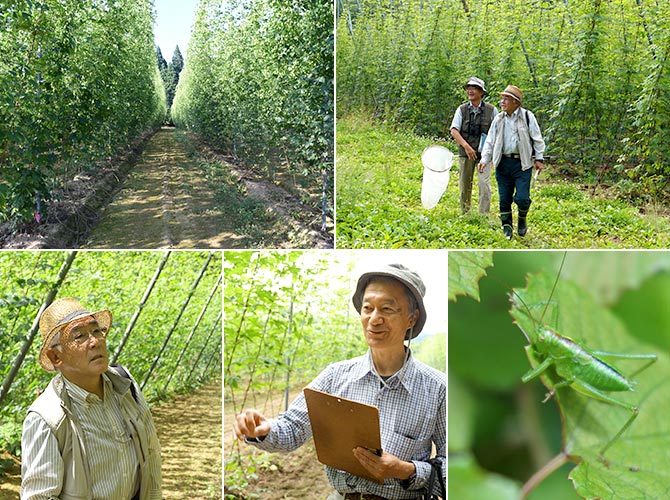 遠野の里地里山の景色の中でのホップ畑の価値について有識者の皆様と対談しました