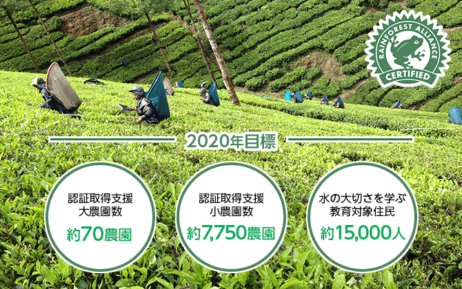 スリランカで、紅茶葉を栽培する小農園支援と農園の水源地保全活動を開始します