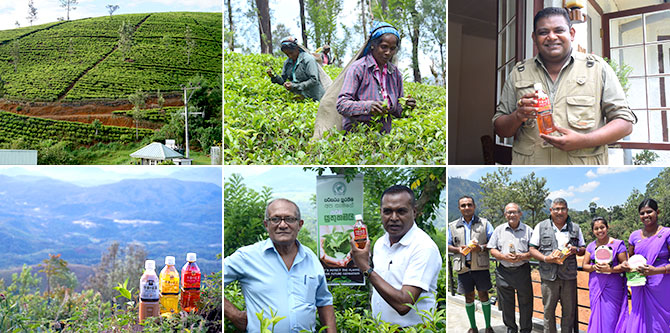 生産地の紅茶農園訪問も今年で5回目。今回は小農園と茶園の中にある水源地の現地確認を行いました