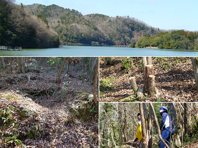 神戸工場水源の森活動を千苅貯水池周辺の森で実施しました