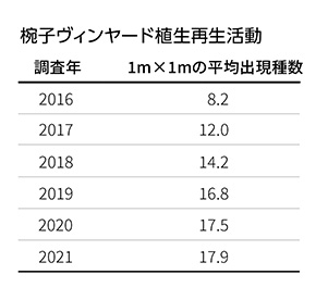 椀子ヴィンヤード植生再生活動